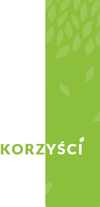 pasek z liśćmi o raz napisem korzyści